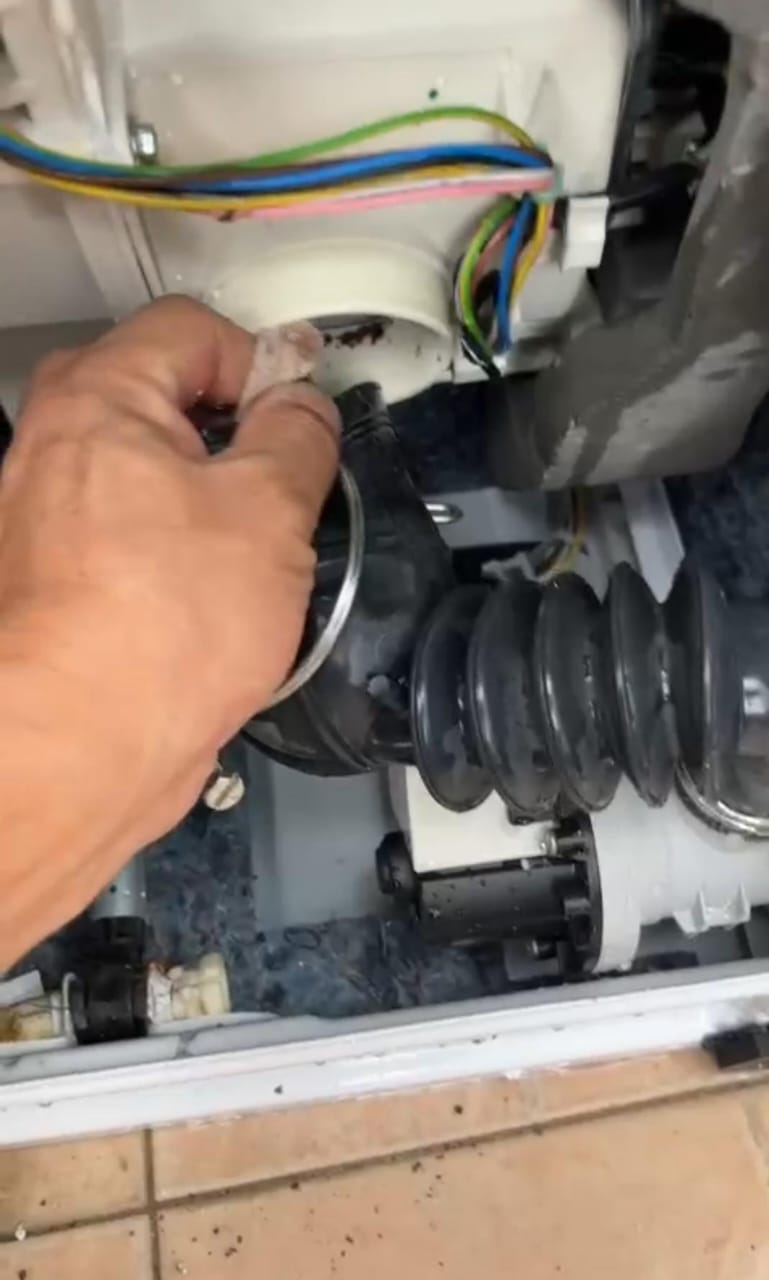 Cleaning of washing machine